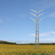 Illustration for article titled These Beautiful Giant Sculptures Support Power Lines With Style